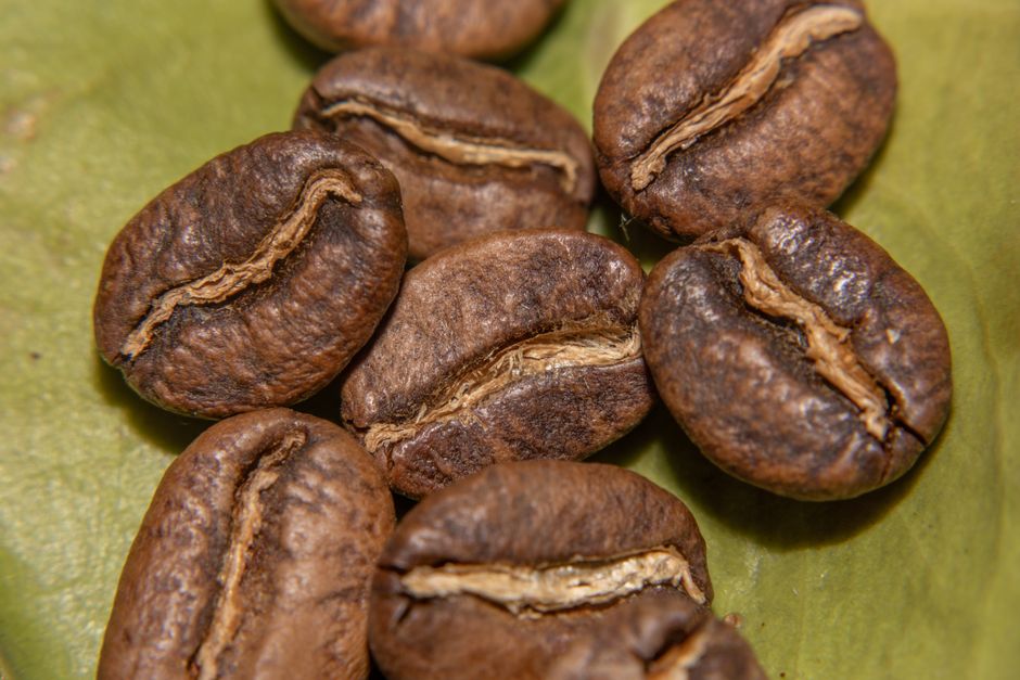 Vista detallada de granos de café tostados de Colombia en una hoja verde.