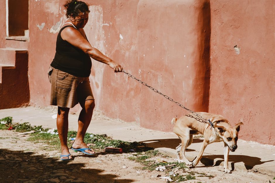 Una mujer pasea a su perro por una calle de la ciudad iluminada por el sol, mostrando la vida urbana.