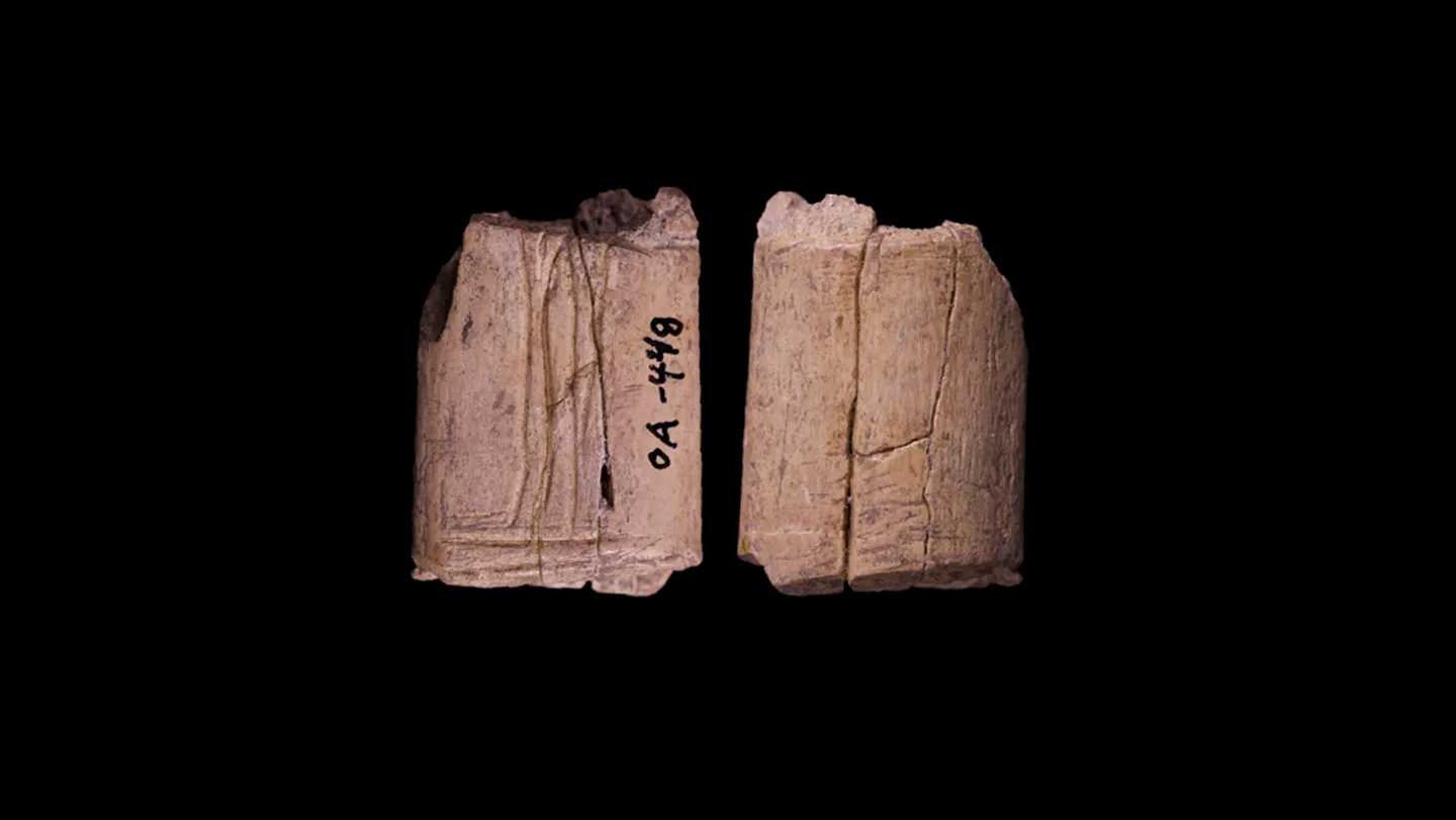 Dados de 12,000 años reescriben historia del juego