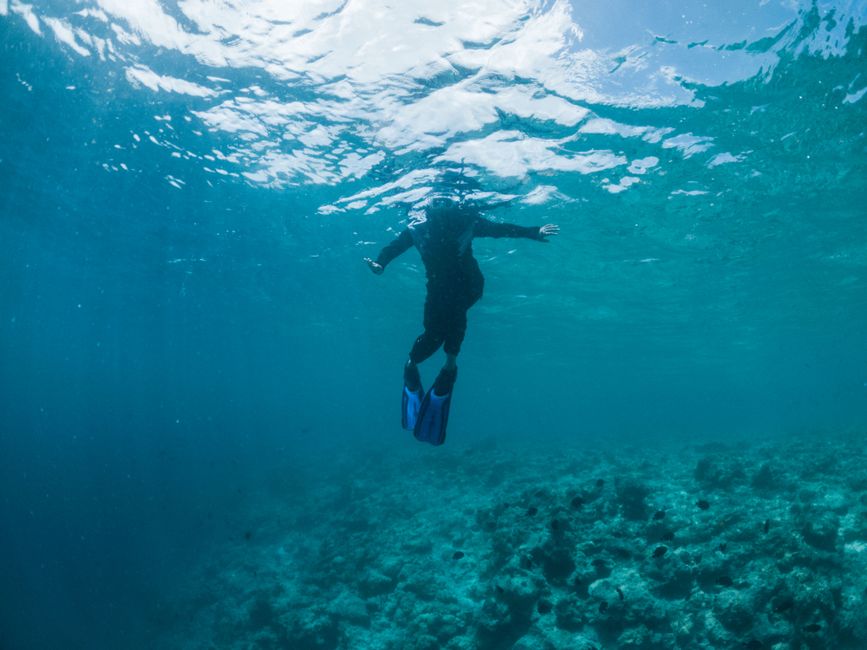 Persona haciendo snorkel en las aguas cristalinas de Maldivas, mostrando la vida marina y los vibrantes colores del océano.