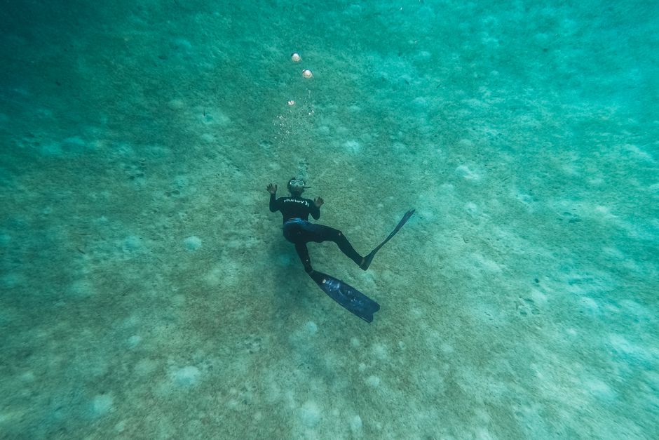 Un buceador explora el fondo del océano en un entorno submarino sereno.