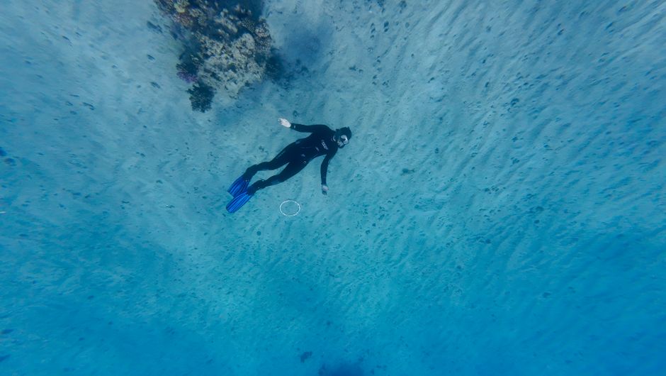 Un buceador con todo el equipo explora un vibrante arrecife de coral en aguas azules claras, que muestra la vida marina.