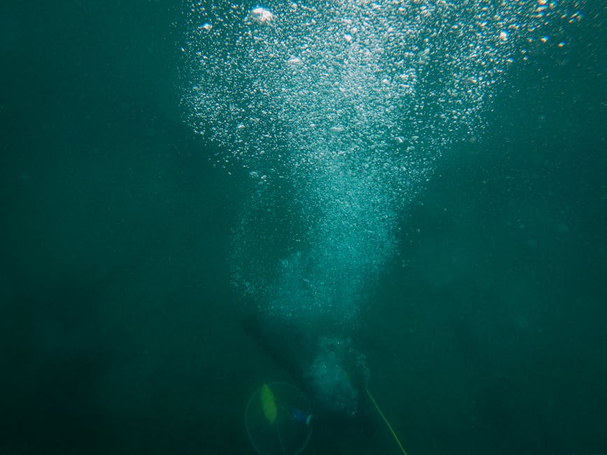 Fotos de stock gratuitas de acción, acuático, agua