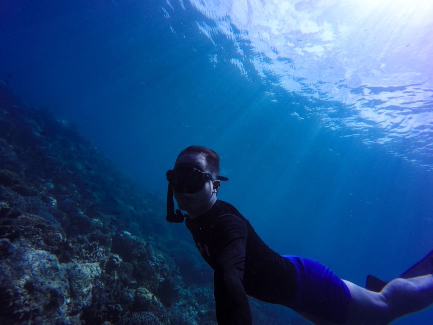 Buzo explorando un vibrante arrecife de coral en un paisaje subacuático azul claro, capturando la emoción del snorkel.