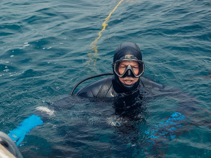 Un buceador con equipo de buceo explora las aguas del océano, mostrando una aventura marina.