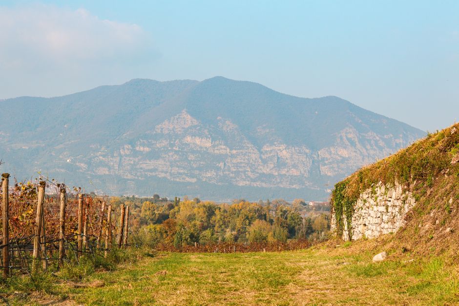 Viñedos con las montañas de fondo en Brescia, Italia, que capturan la belleza del otoño.