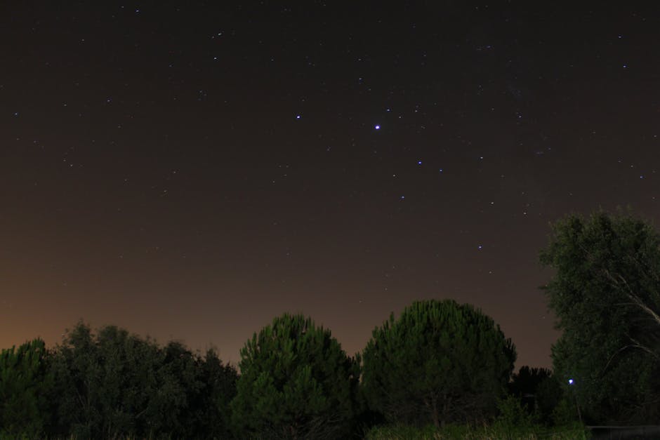 Fotos de stock gratuitas de al aire libre, arboles, astrofotografía