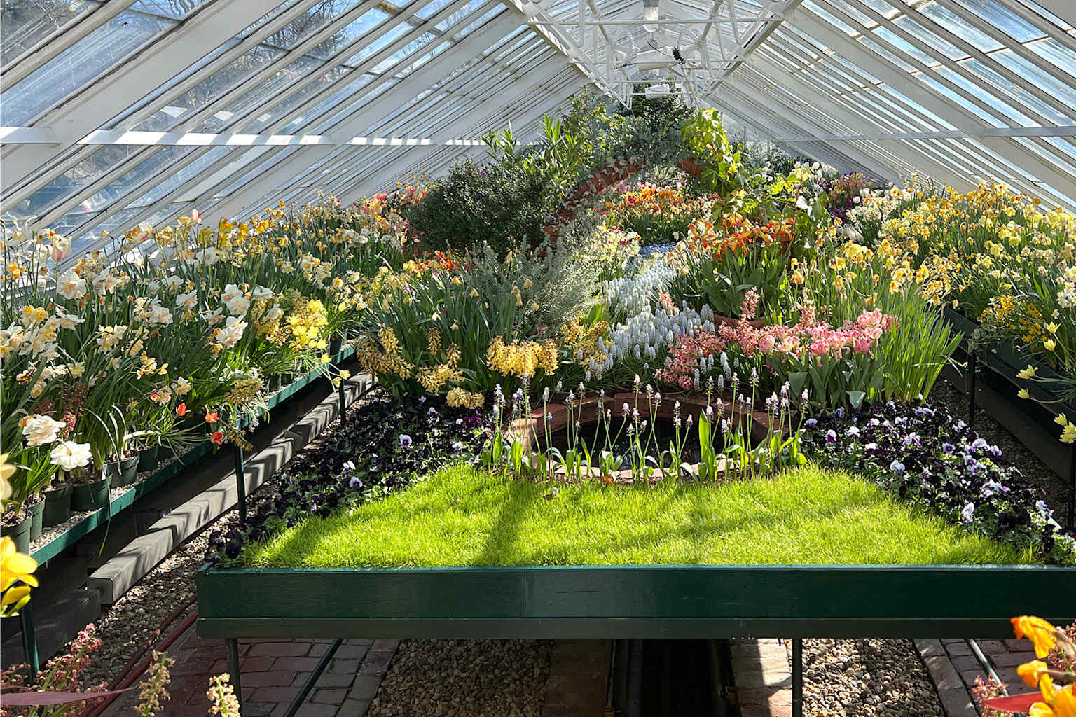 Descubren código de ADN vegetal de 300 millones de años