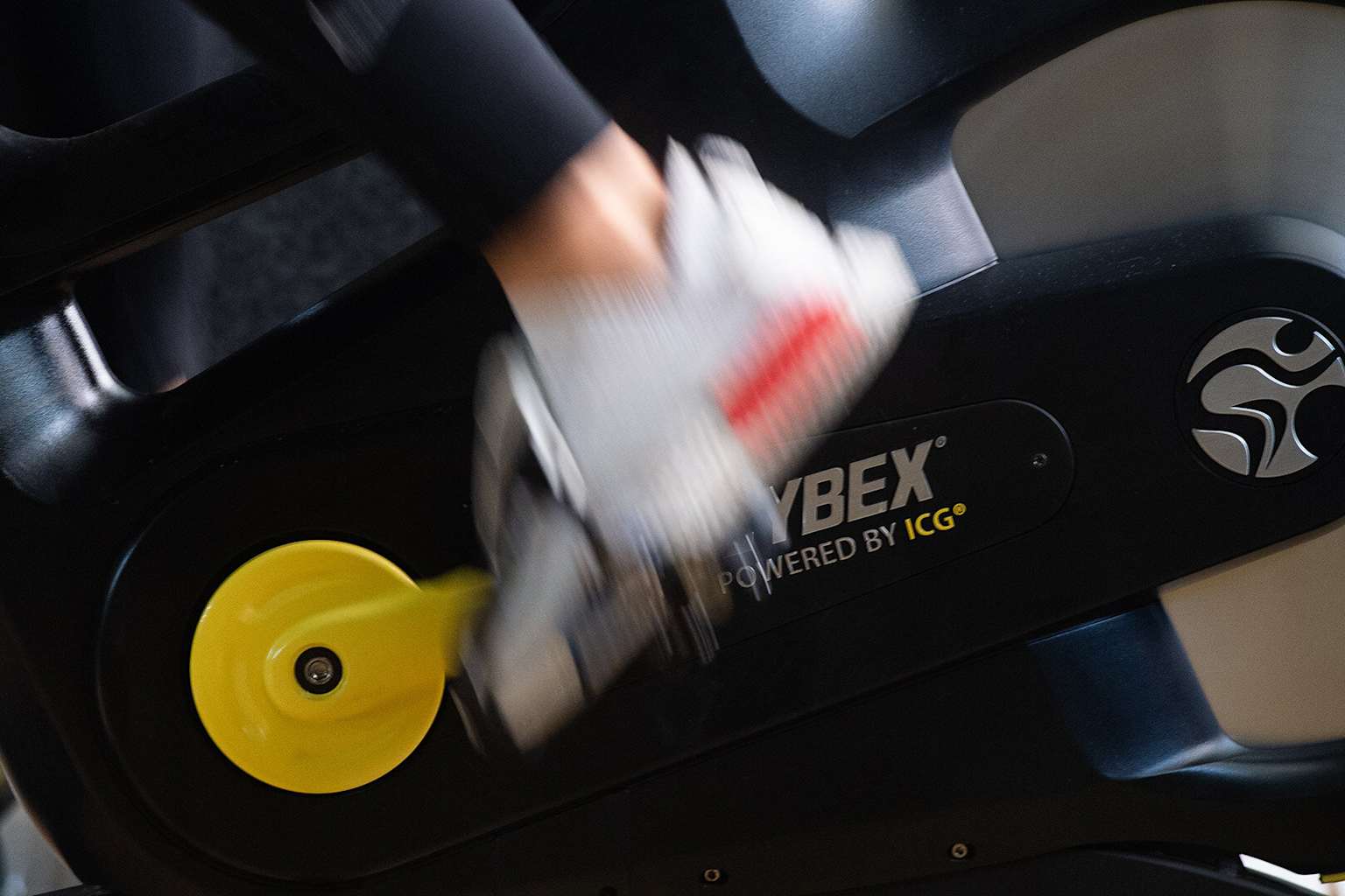 Descubren cómo el ejercicio activa la memoria en el cerebro