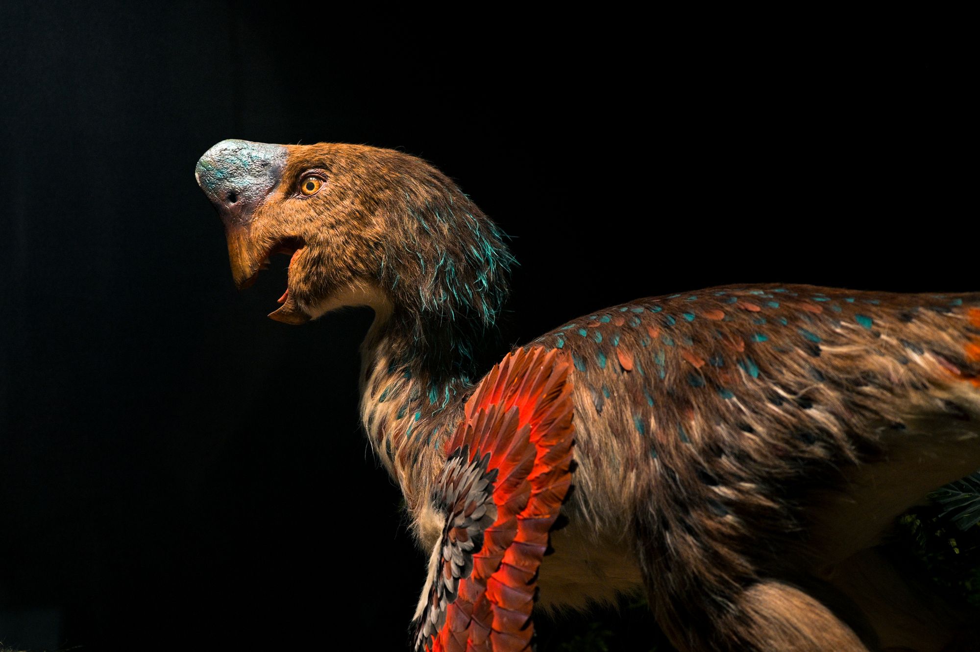 Dinevenator: el dinosaurio de Nuevo México con tres nombres