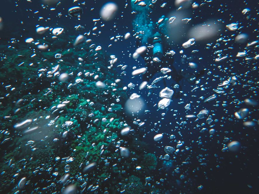 Una impresionante escena submarina con burbujas, un buceador y arrecifes de coral.