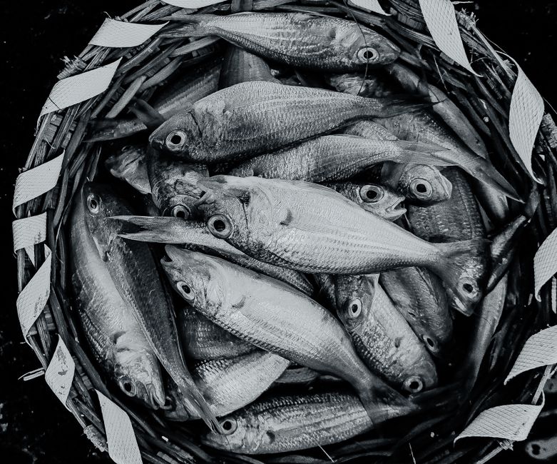 Una fotografía monocromática que muestra una canasta llena de pescado fresco, ofreciendo textura y detalles.