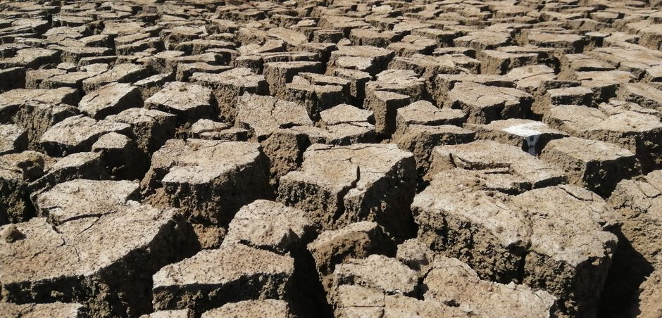 Fotos de stock gratuitas de agrietado, al aire libre, aridez