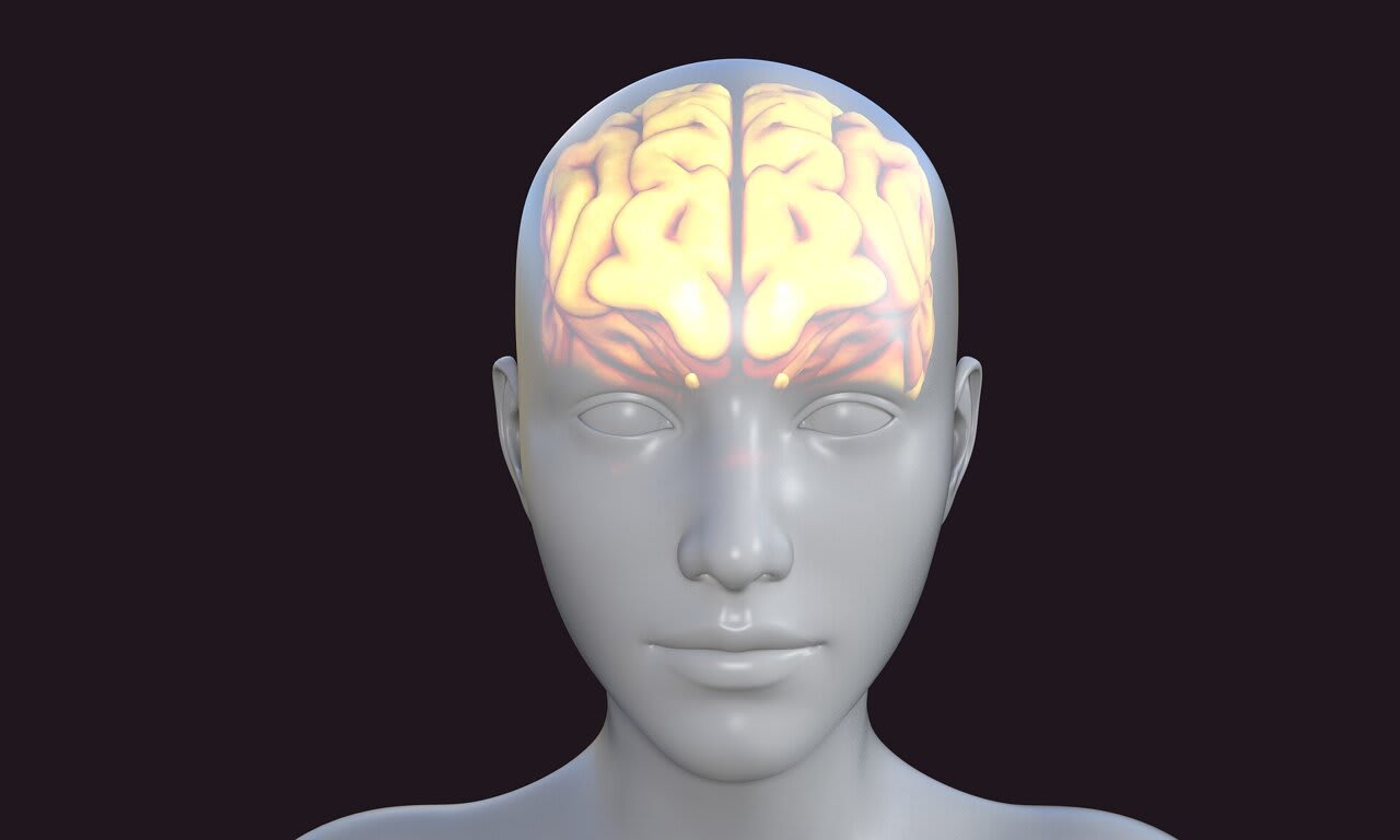 El cerebro procesa y predice palabras bajo anestesia
