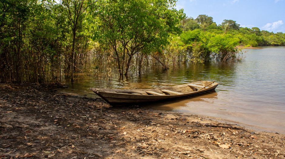Fotos de stock gratuitas de agua, al aire libre, amazonas