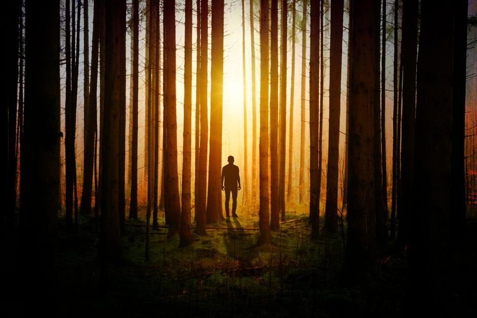 Silueta, De, Un, Hombre, Durante, Ocaso