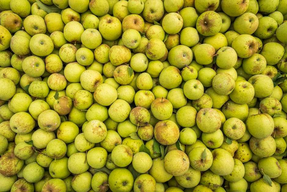 Fotos de stock gratuitas de abultar, abundancia, agricultura