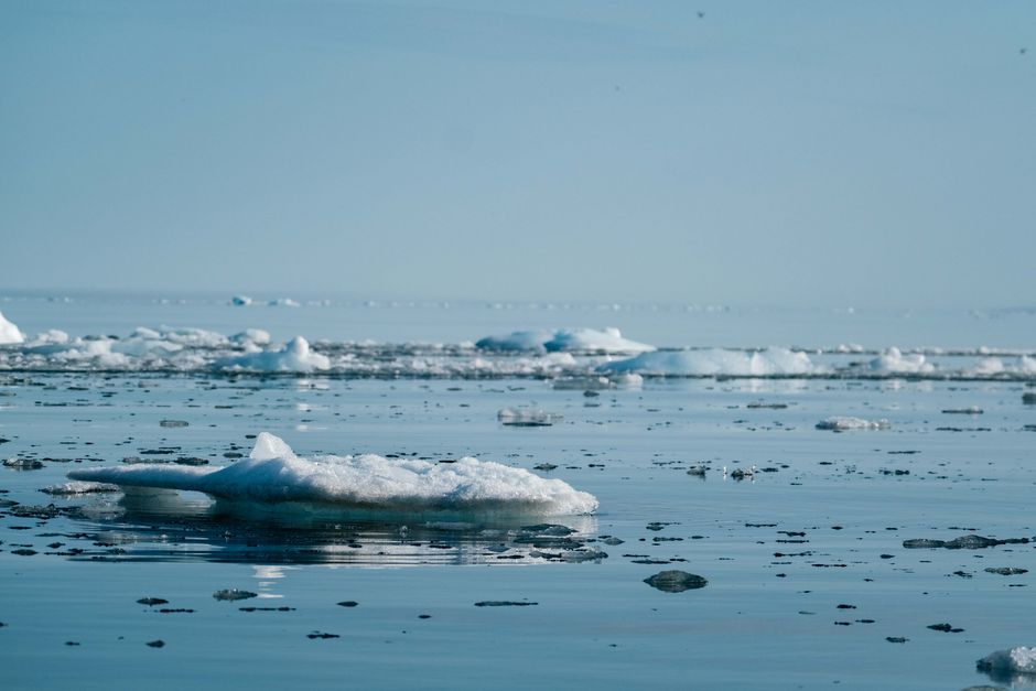 Escena tranquila del océano Ártico con icebergs y un cielo azul claro, ilustrando el cambio climático.