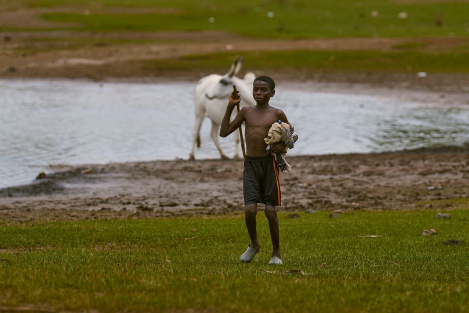 Un niño pequeño pastorea ganado cerca de un abrevadero en Minna, Nigeria, mostrando una escena de la vida rural.