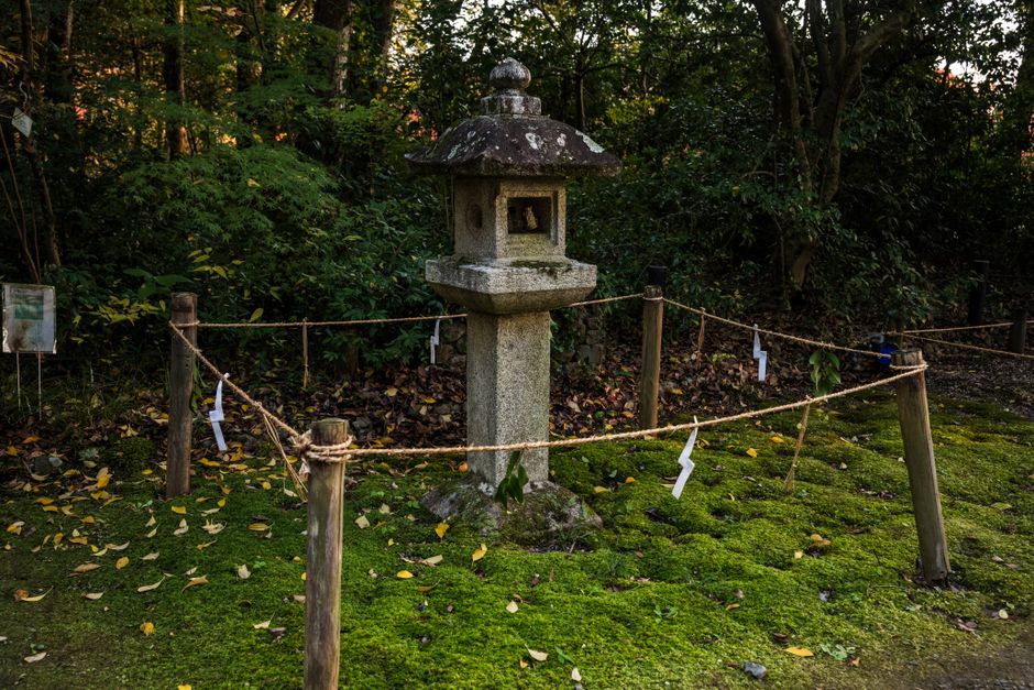 Escena serena de una linterna de piedra japonesa tradicional rodeada de exuberante vegetación en un jardín.