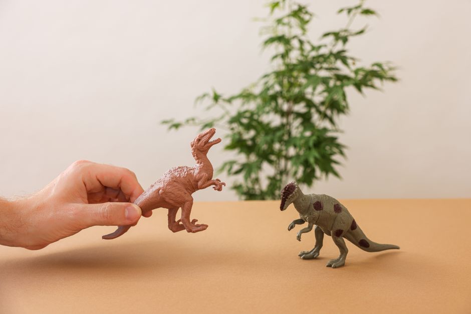 Fotos de stock gratuitas de #interior, animales de juguete, aprendiendo