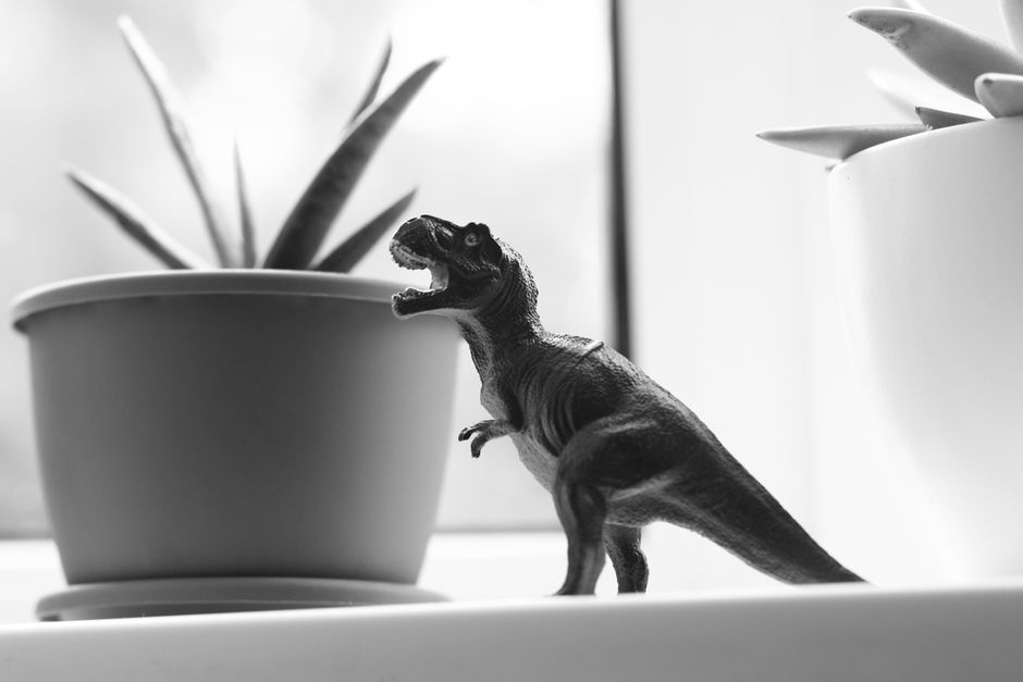 Una imagen en monocromo de un juguete de dinosaurio al lado de plantas en macetas, creando una escena divertida.