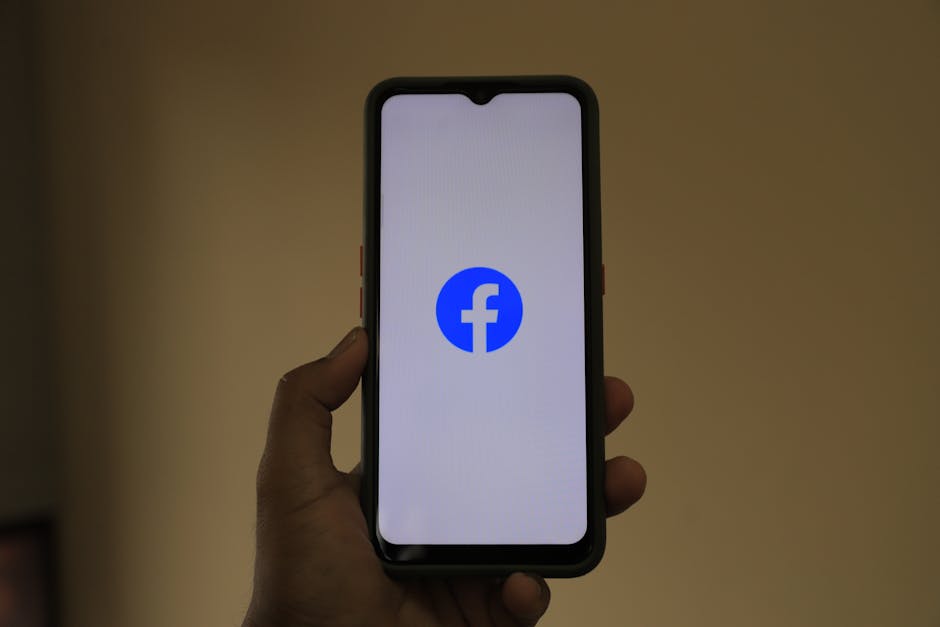 Fotos de stock gratuitas de almohadilla, android, androide