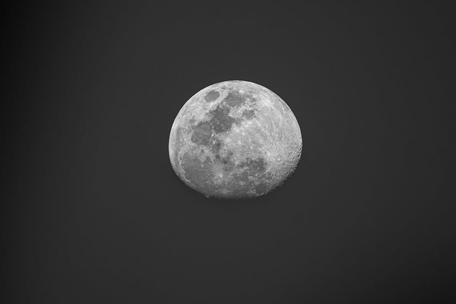 Fotos de stock gratuitas de 2012, alto contraste, amantes de la astronomía
