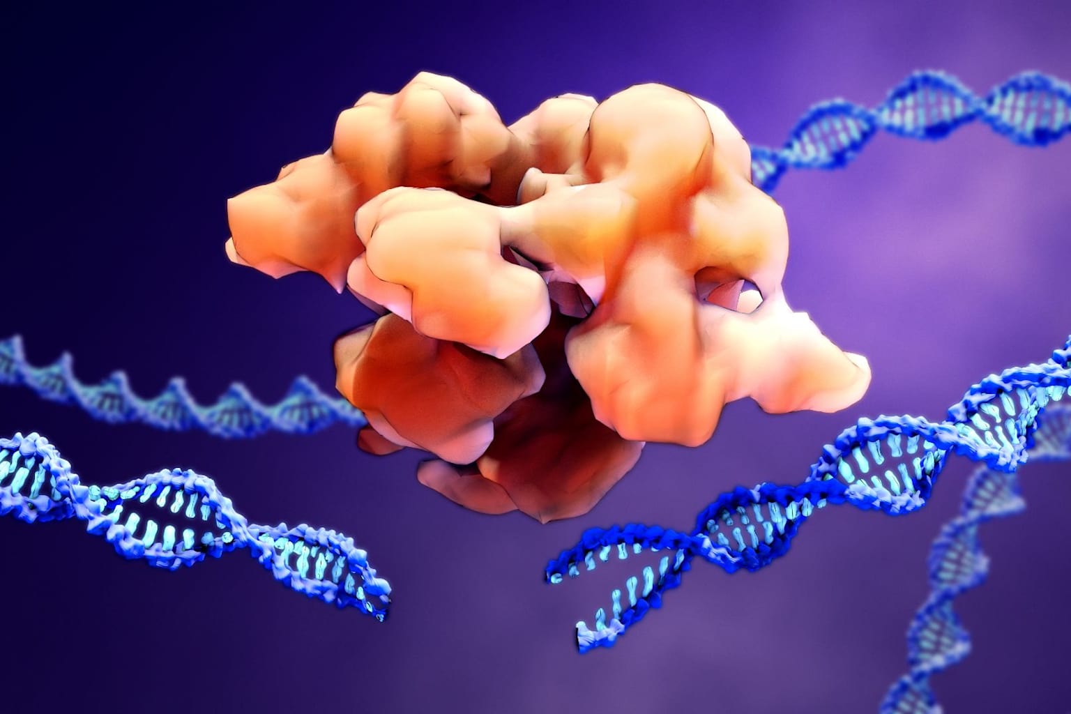 Enzima CRISPR miniatura logra editar genes dentro del cuerpo