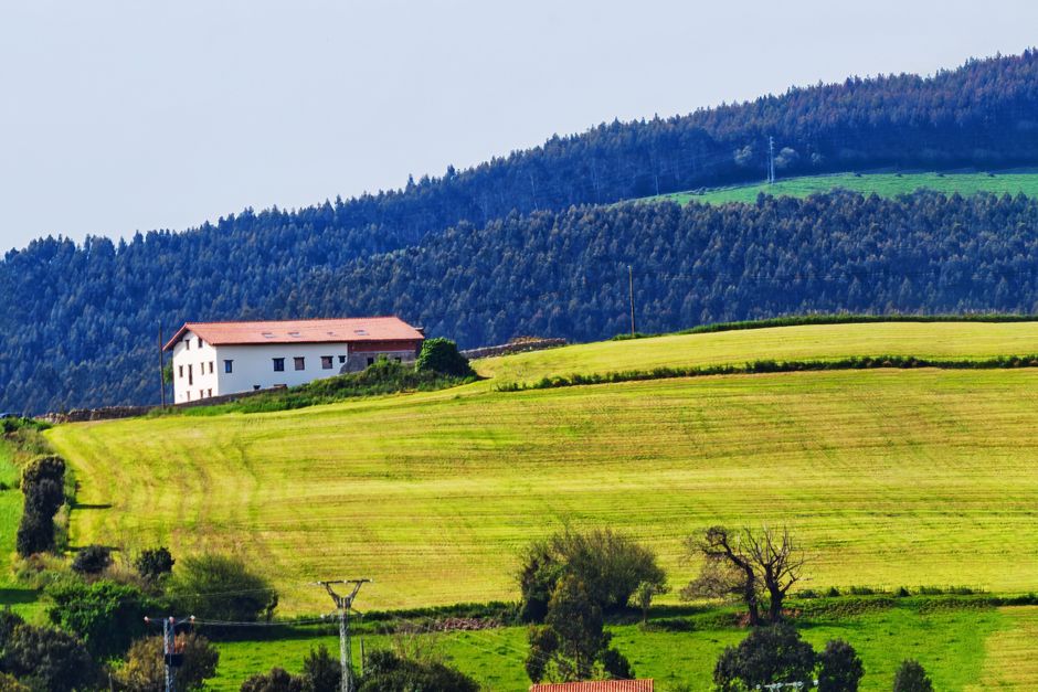 Escénico paisaje rural con una casa en colinas verdes onduladas rodeada de un denso bosque.