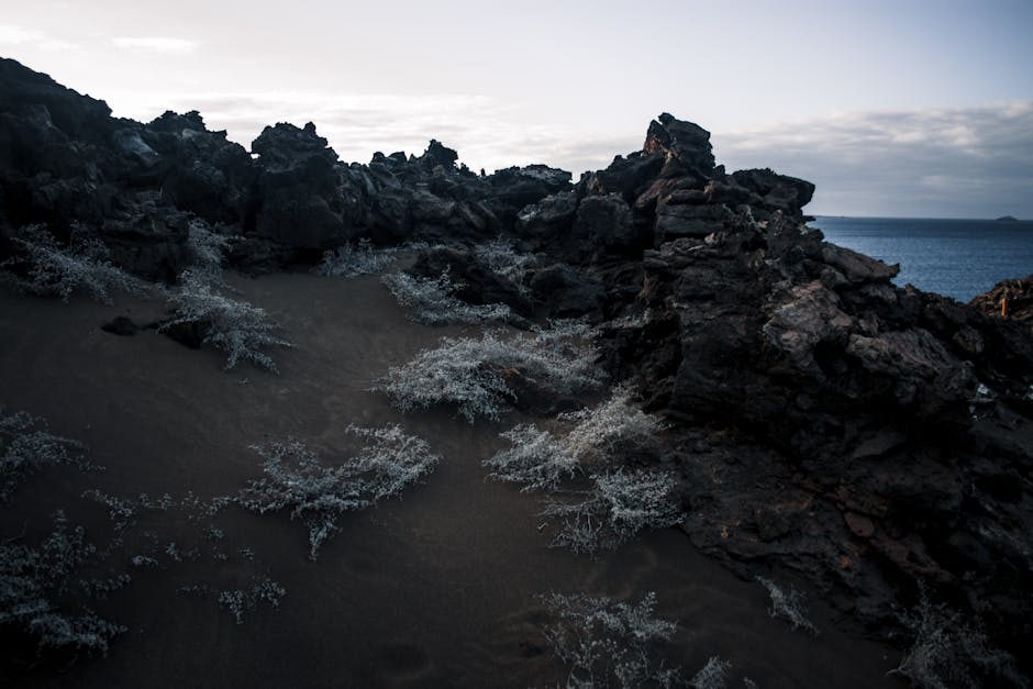 Fotos de stock gratuitas de @al aire libre, agua, amanecer