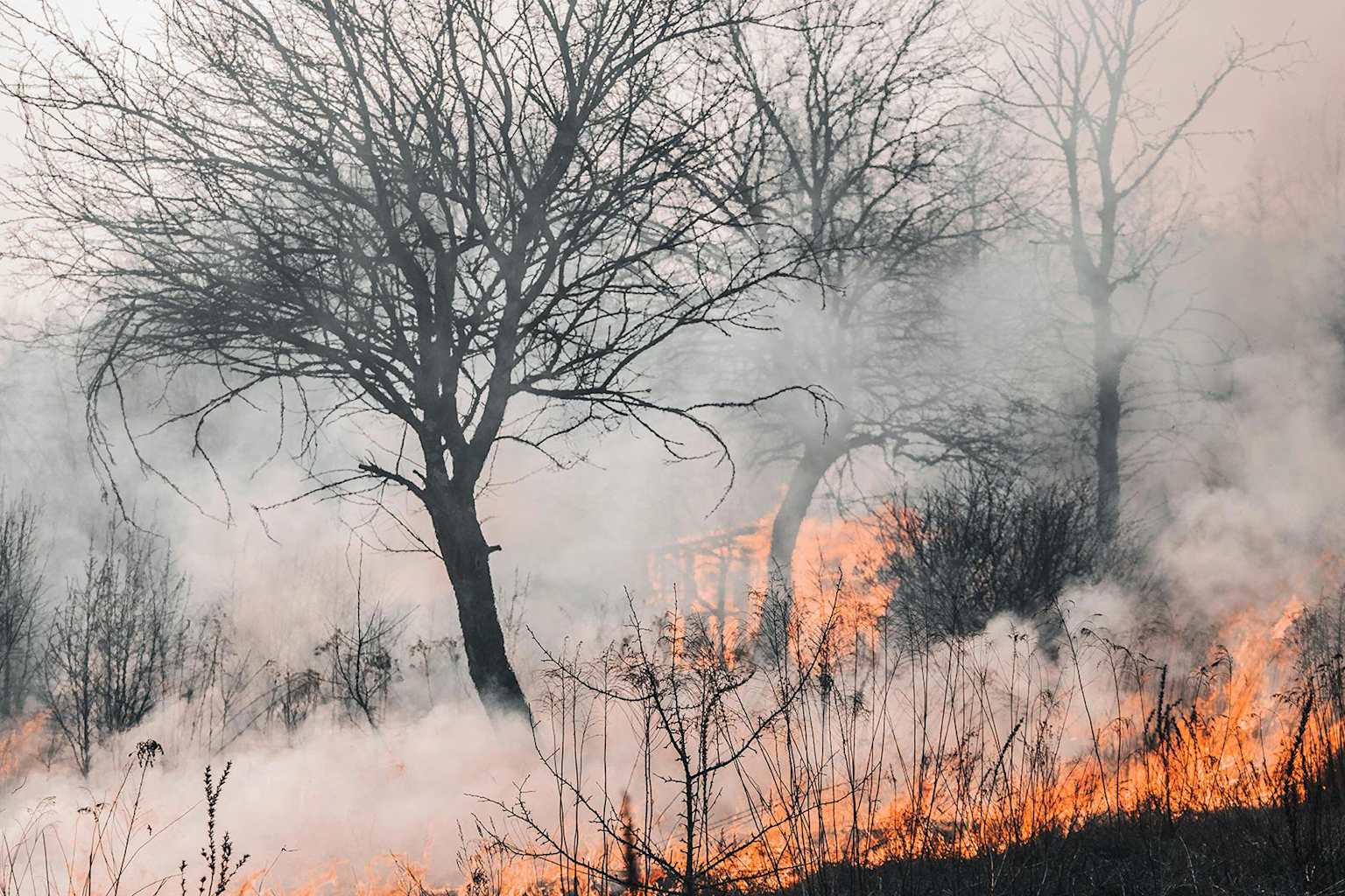 Europa en 2025: Récord de incendios y calor hasta el Ártico