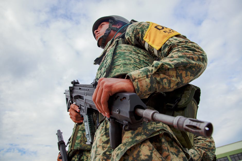Fotos de stock gratuitas de adulto, al aire libre, América del Norte