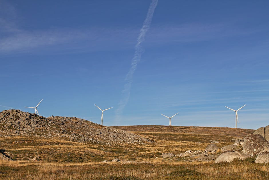 Fotos de stock gratuitas de al aire libre, belleza natural, cambio climático