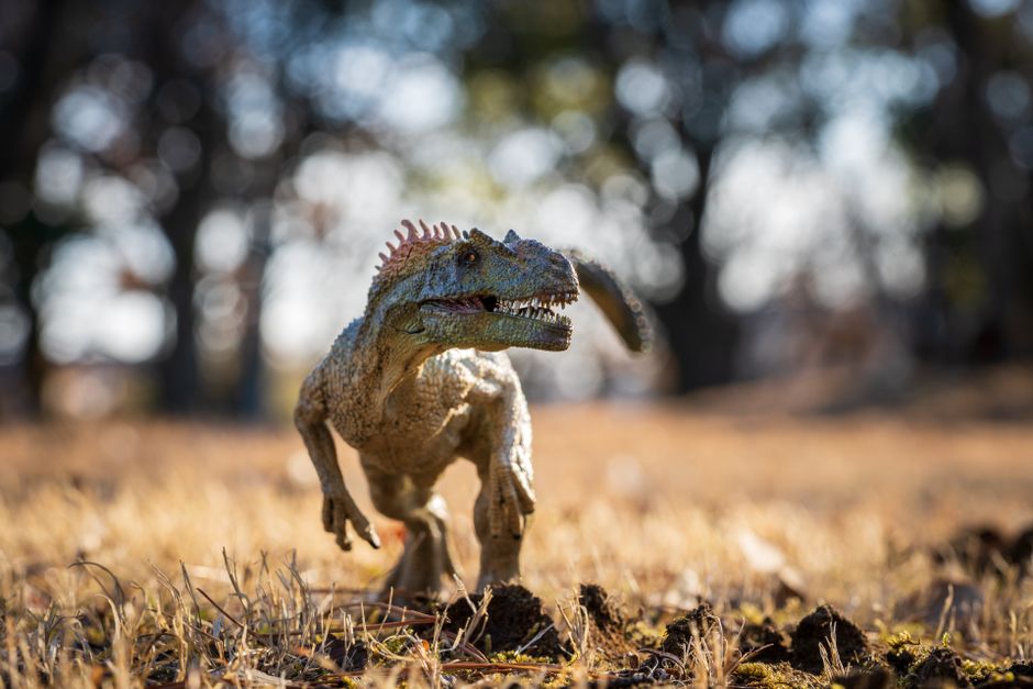 Primer plano de un juguete de dinosaurio en un campo, simulando una escena prehistórica con características detalladas.