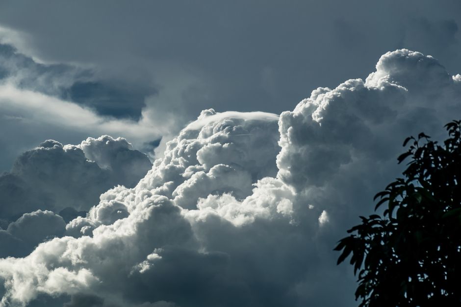 Cielo nublado con nubes cúmulos dramáticas y silueta de ramas de árbol.