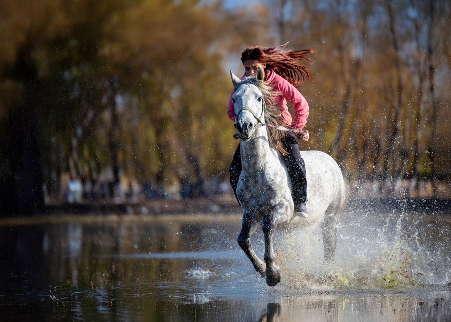 Una mujer cabalga sobre un caballo blanco a través de aguas poco profundas, creando un dinámico efecto de salpicadura.