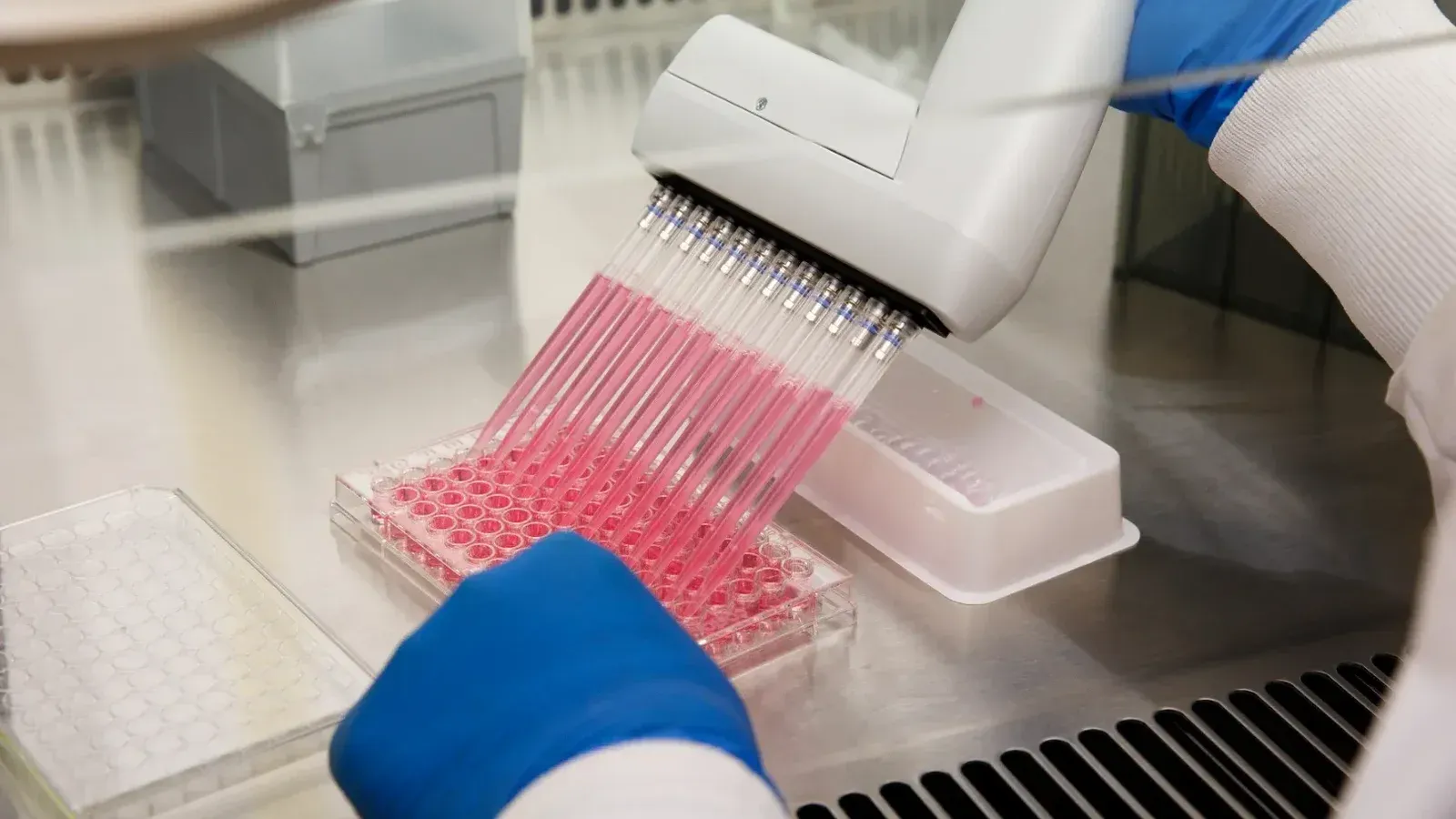 FDA aprueba Jemperli para cáncer de recto MSI-H/dMMR