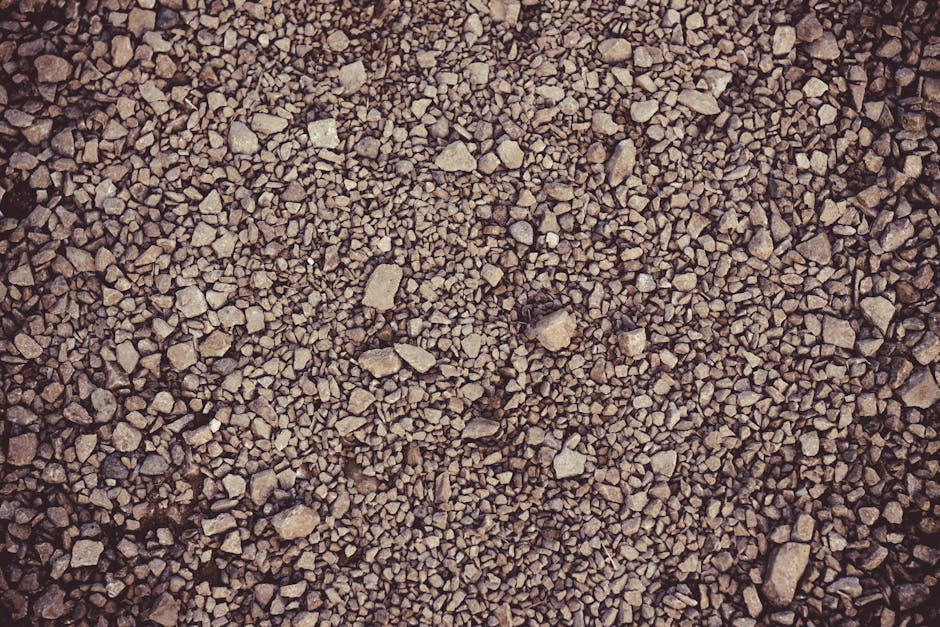 Fotos de stock gratuitas de @al aire libre, agricultura, al aire libre