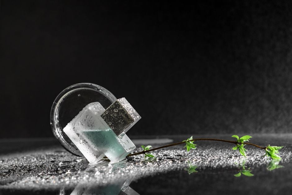 Composición artística de hielo, vidrio y rama verde que refleja crecimiento y renovación.