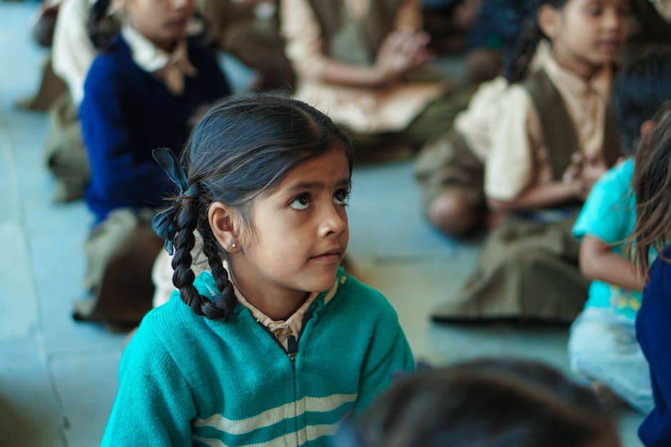 Fotos de stock gratuitas de académico, adentro, ambiente de aprendizaje