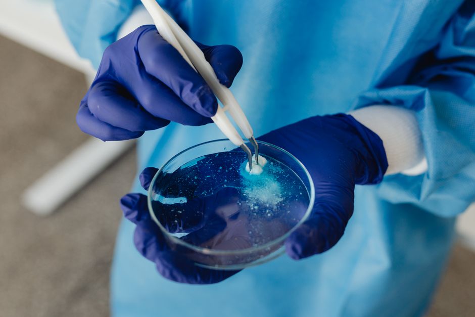 Primer plano de un investigador usando pinzas para trabajar con una placa de Petri en un laboratorio.