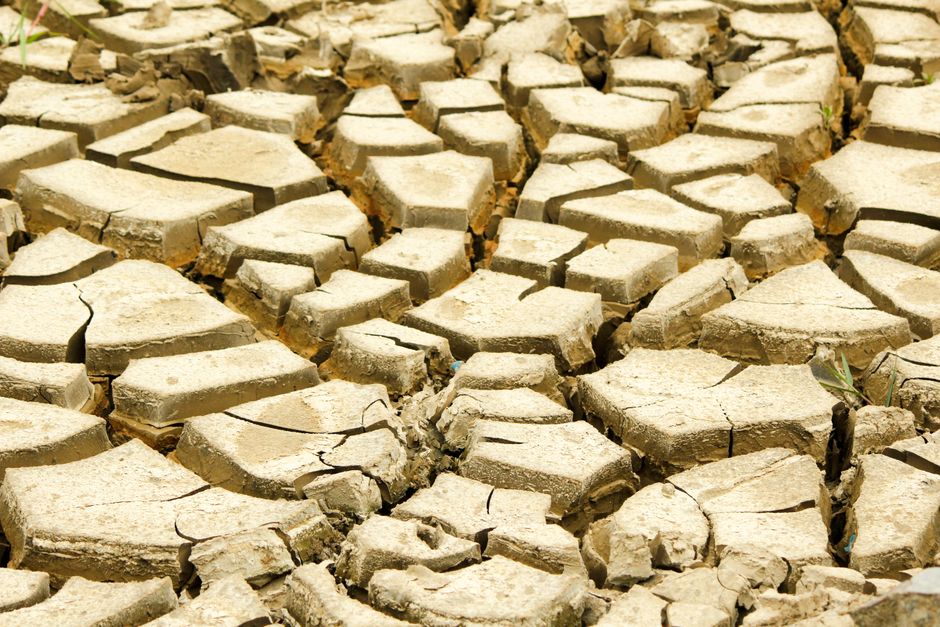 Primer plano de una superficie de tierra seca y agrietada que simboliza las severas condiciones de sequía en la naturaleza.