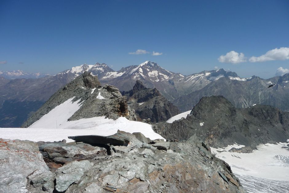 Explora los impresionantes Alpes suizos con picos nevados bajo un cielo azul claro.