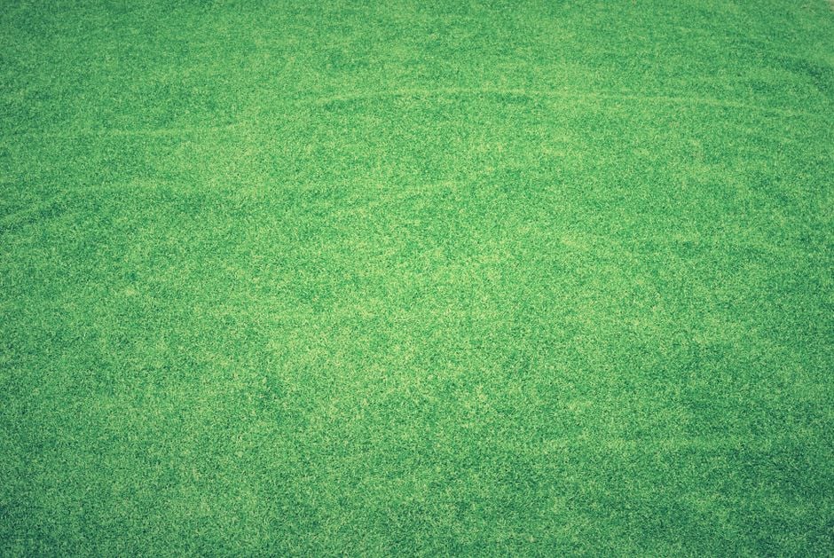Textura de hierba verde vibrante de alta calidad, perfecta para fondos y uso digital.