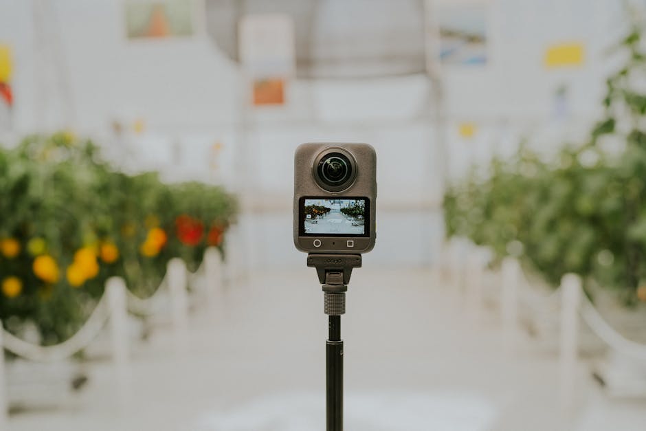 Una cámara de 360 grados captura vibrantes escenas de invernadero con exuberantes plantas verdes y tomates maduros.