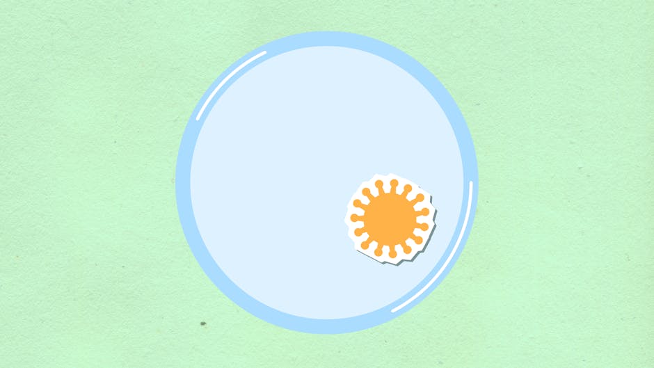 Ilustración De Sol Blanco Y Amarillo