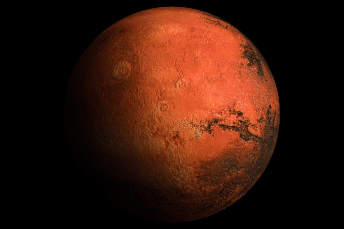 Hongo de la NASA sobrevive a viaje simulado a Marte