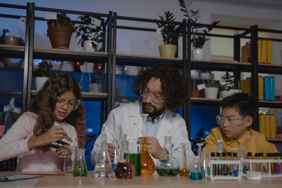 Fotos de stock gratuitas de actividad educativa, actividad escolar, ambiente académico