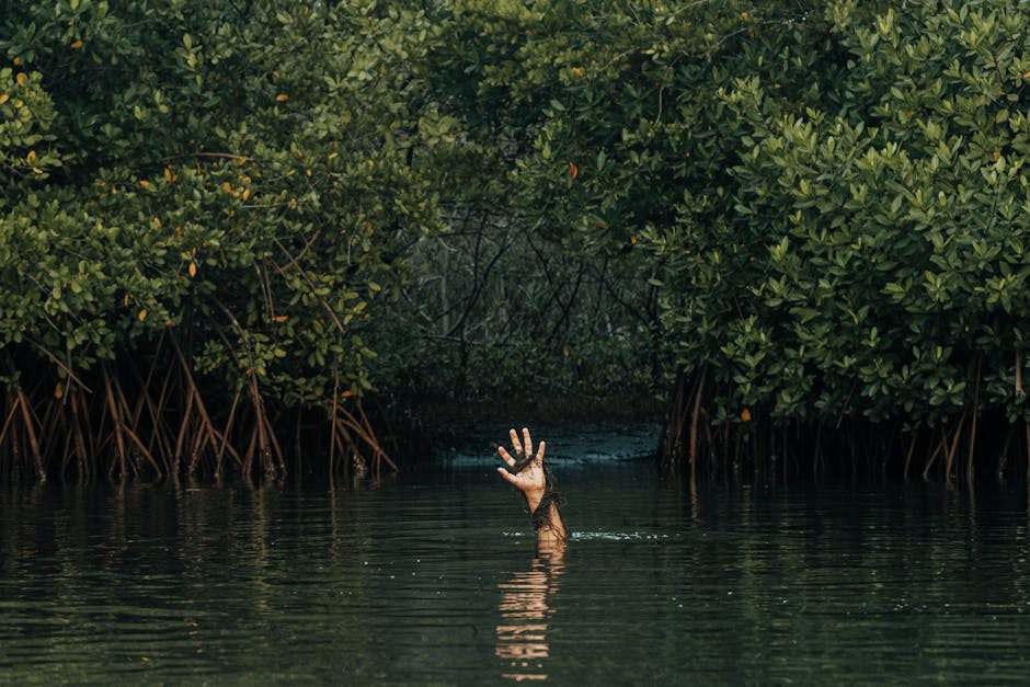 Fotos de stock gratuitas de abstract art, abstracto, agua